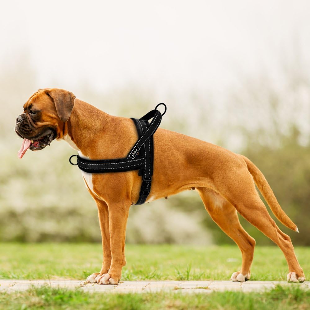amazon didog dog harness boxer