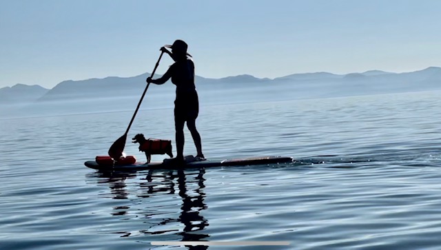 Looking for the best paddle board with dog?  There are a huge range of options.  Here is what you need to know.