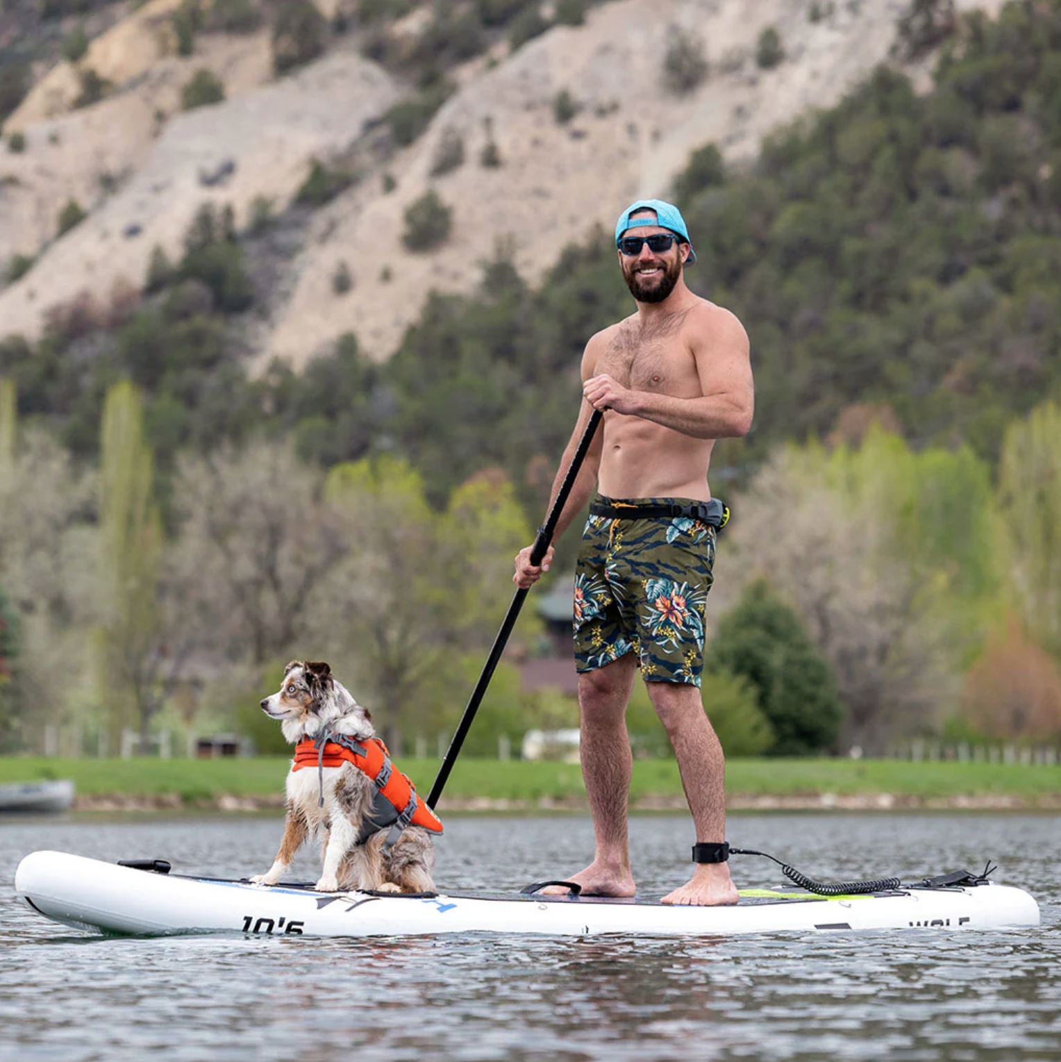 high society wolf guy sup dog