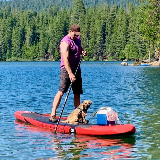paddle boarding with dog