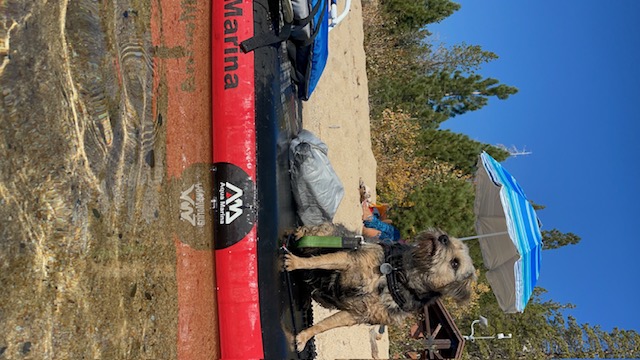 silli sitting on paddle board on beach lake tahoe